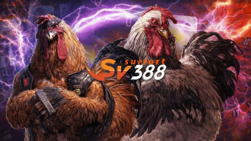 Livestream chất lượng cao tại SV388